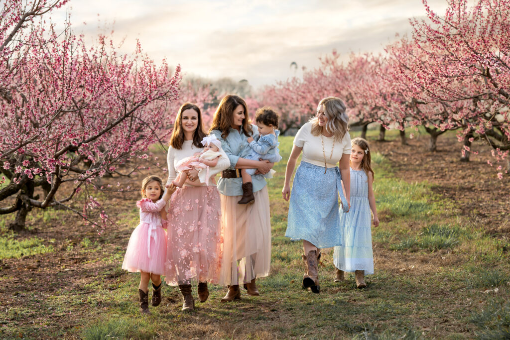 Georgia peach orchards