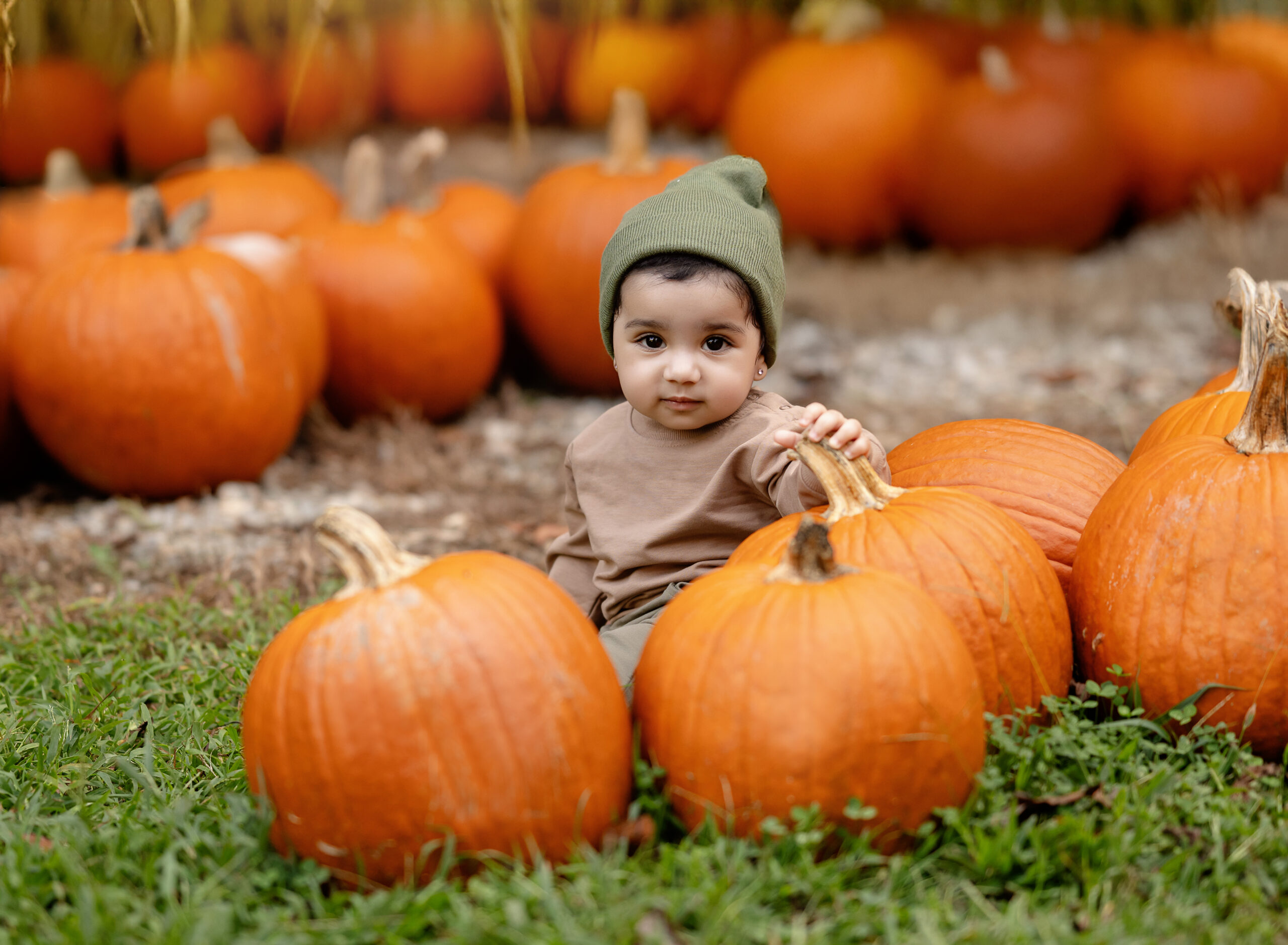 Baby sitting in pumpkin patch field