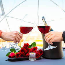 9 mile restaurant private rooftop igloo