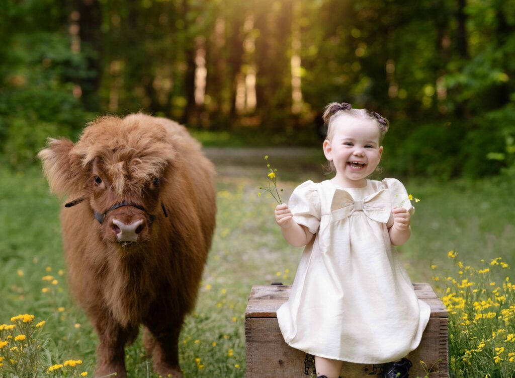 Little girl holding wildflowers sitting beside a Highland cow during Atlanta Easter mini sessions and spring child photography session.